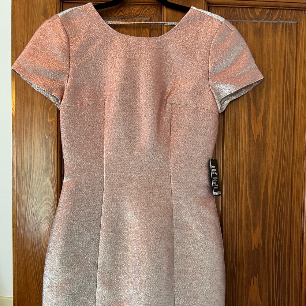 Shimmery Express Party mini Dress